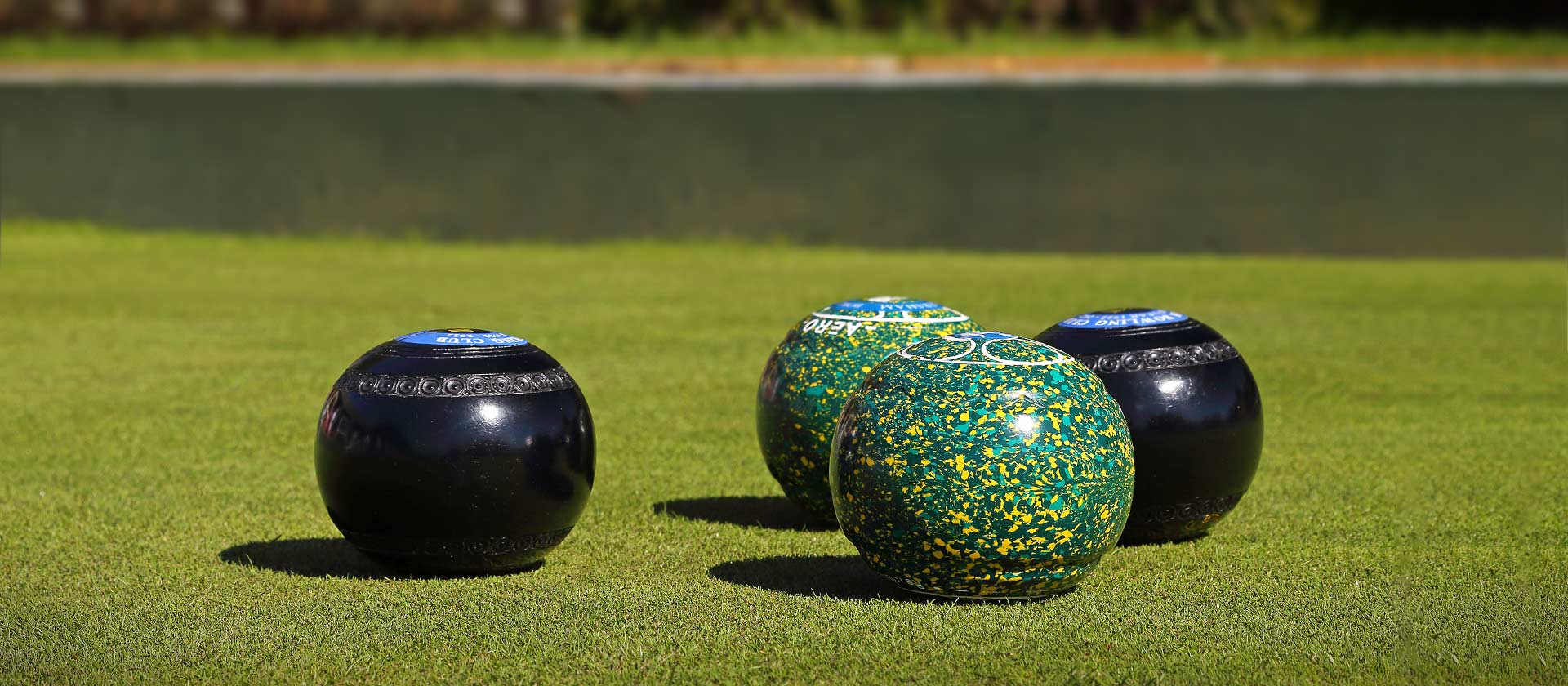 Bowls Image